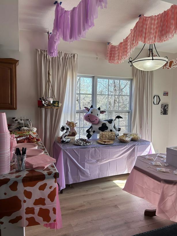 Farm theme birthday room styled with pink and cow print streamers, ceiling drapes and a cow foil balloon